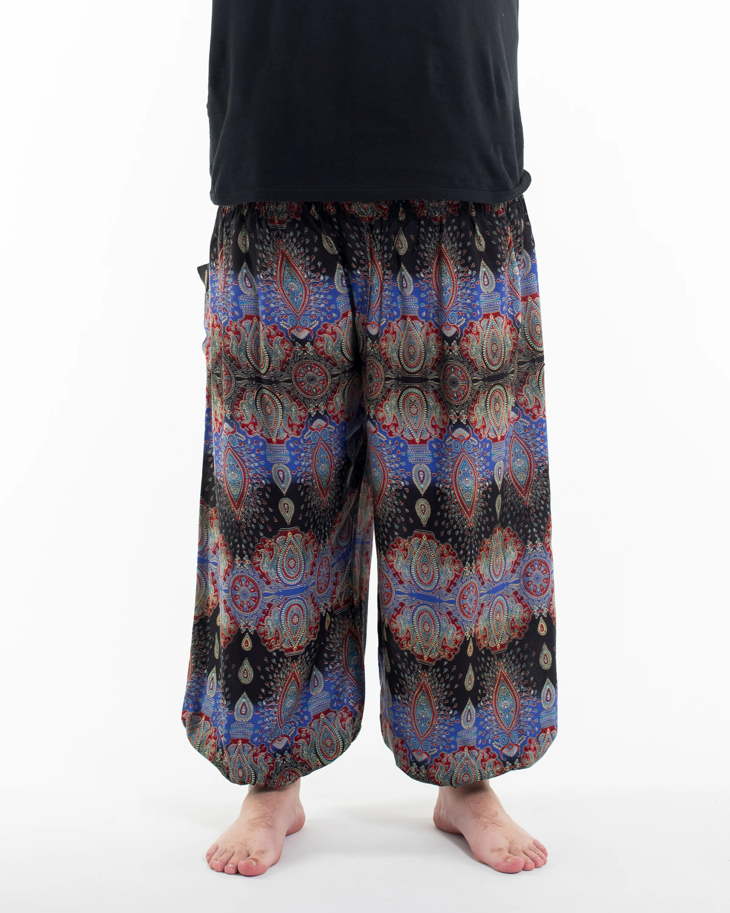 Plus Size Paisley Men's Harem Pants in Blue - Image 2